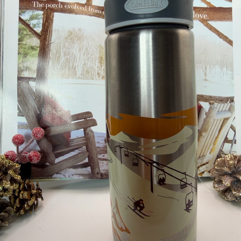 ā„ļøā„ļø Last Chanceā„ļøā„ļø CamelBak Silver Stainless Steel Water Bottle - Ski Graphic - Picture 10 of 13